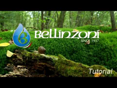 Bellinzoni Idea Gold Sealer